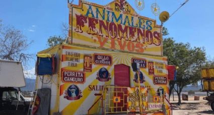 (FOTOS) Clausuran circo de 'animales fenómenos' en Nuevo León