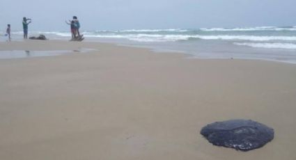 Playa Miramar catalogada como una de las más limpias del país no registra derrame de hidrocarburo