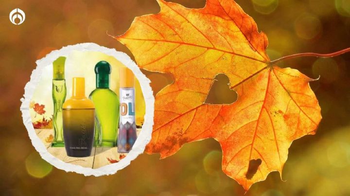 10 deliciosos perfumes de Fraiche que serán tendencia en el otoño