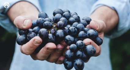 ¿Las uvas duran menos si las quitas de la rama?