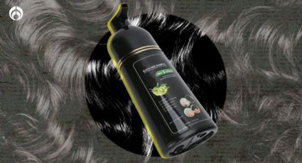 En dónde venden el shampoo Black Hair Dye que te quita las canas en un sólo baño