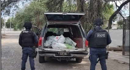 Así fue el Operativo Guanajuato con la detección de más de 32 mil dosis de droga y más