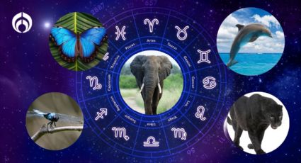 Dime tu signo zodiacal y te diré en qué animal vas a reencarnar