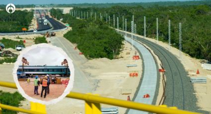 Aceleran construcción del Tren Maya: AMLO expropia 147 hectáreras en el sureste