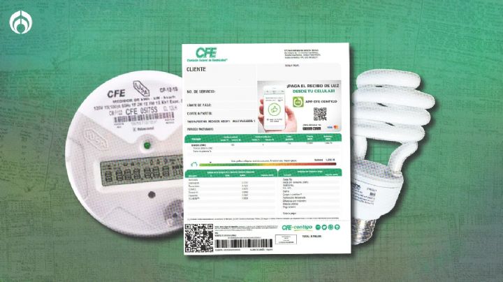 CFE: ¿Quiénes deben hacer el cambio de titular en su recibo de luz?