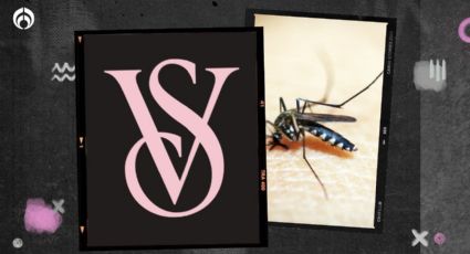 El perfume de Victoria’s Secret que huele espectacular y ‘espanta’ a los mosquitos