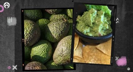 ¡Para un rico guacamole! Este es el mejor tipo de aguacate para su preparación