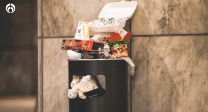 ¿Qué son los gusanos blancos que aparecen en la basura?