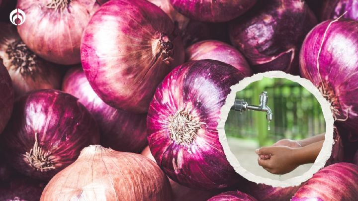 ¿Cómo quitar el olor a cebolla de las manos? Estos son los trucos