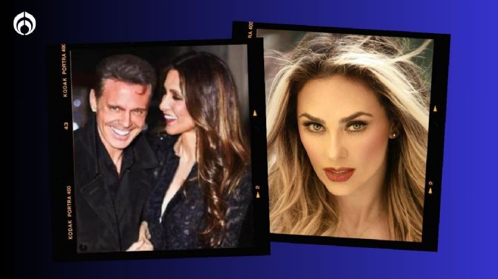 Aracely Arámbula contra Luis Miguel por primera vez: Pide que tenga corazón para sus hijos (VIDEO)