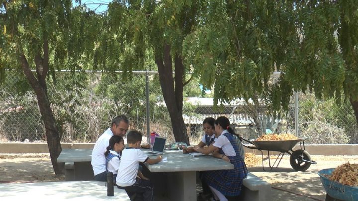 Estos son los riesgos de tomar clases fuera de aulas por falta de electricidad en BCS