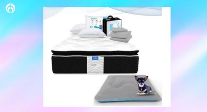 Walmart lanza paquetazo en colchón anti ácaros con regalo de almohadas y cama para perritos