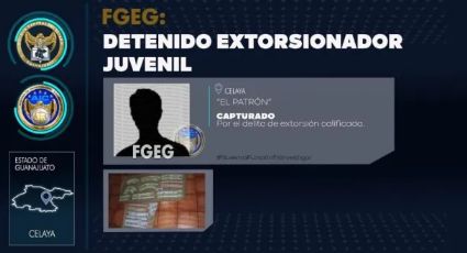 Exregidora del PAN Celaya cuyo hijo fue detenido por extorsion quiere regresar al ayuntamiento