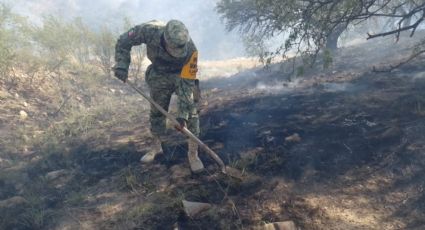 (VIDEO) Apagan incendio forestal entre Ímuris y Bacadéhuachi en Sonora