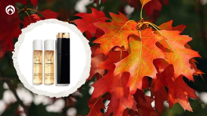 Este es el perfume más barato de Chanel que conquistará el otoño