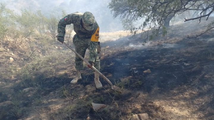 (VIDEO) Apagan incendio forestal entre Ímuris y Bacadéhuachi en Sonora