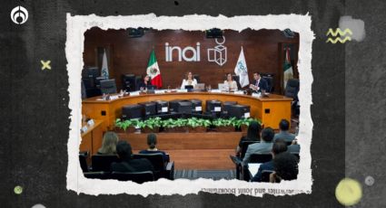 Inai, en 'auge': Recibe 500 recursos de revisión por semana, según comisionada