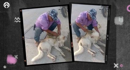 (VIDEO) Hombre arrastra a perro en moto en Oaxaca y ni lo sancionan