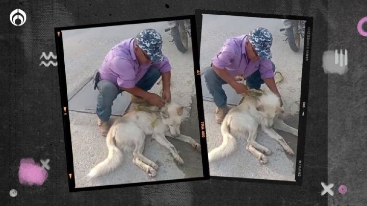 (VIDEO) Hombre arrastra a perro en moto en Oaxaca y ni lo sancionan