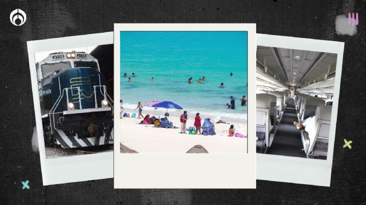 Tren del Istmo: ¿podrás viajar desde Veracruz hasta Cancún y Tulum?