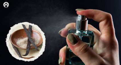 Perfumes: estos son los aromas ideales para la temporada de frentes fríos