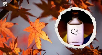 Este es el perfume más barato de Calvin Klein que dominará en el otoño