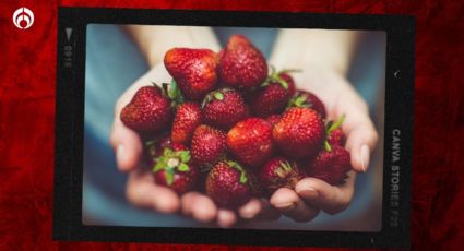 ¿Cómo desinfectar las fresas correctamente? No cometas este grave error