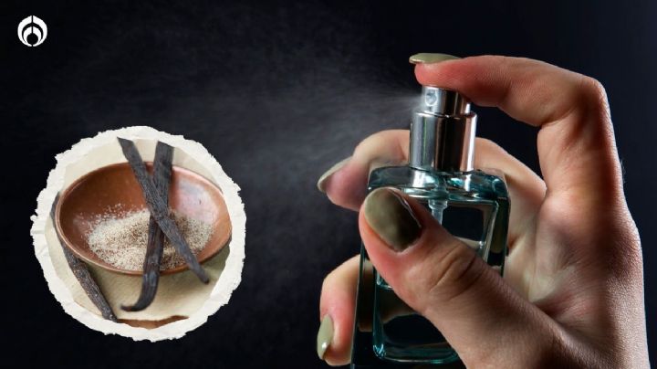 Perfumes: estos son los aromas ideales para la temporada de frentes fríos