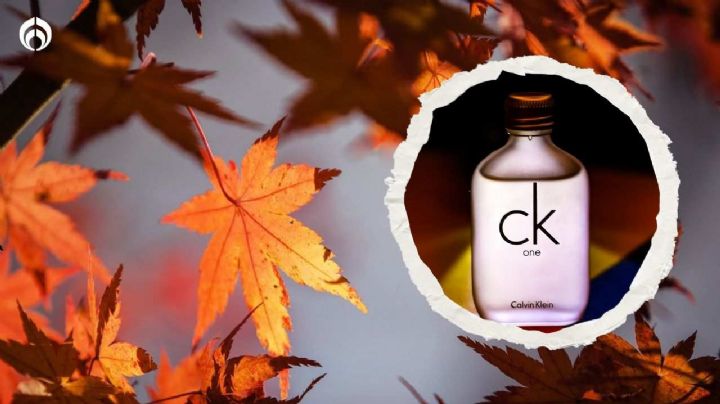 Este es el perfume más barato de Calvin Klein que dominará en el otoño