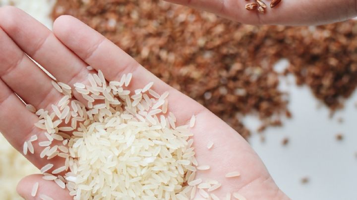 ¿Qué marcas de arroz son de plástico y cómo detectarlo?