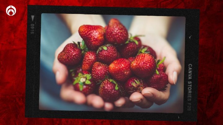 ¿Cómo desinfectar las fresas correctamente? No cometas este grave error