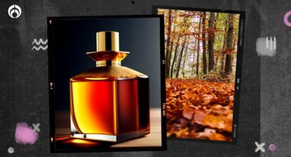 ¿Qué son los perfumes amaderados y a qué huelen? Los amarás en el otoño