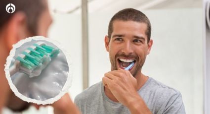 ¿Cómo quitar el sarro de los dientes? Este es el remedio infalible para lograrlo