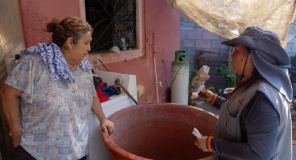 Dengue en Sonora: informa secretaria de salud disminución de un 94% en casos