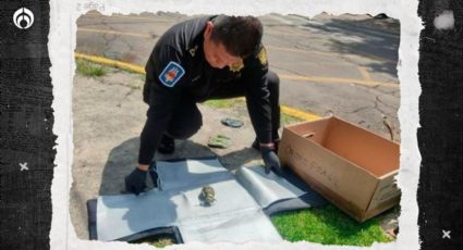 Sustazo en Las Lomas: trabajador halla caja... con una ¡granada de fragmentación!