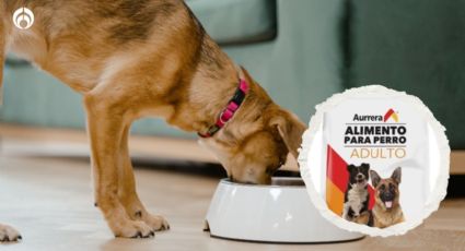 ¿Qué tan buenas son las croquetas para perro de la marca Aurrera? Esto dice Profeco