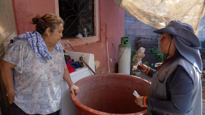 Dengue en Sonora: informa secretaria de salud disminución de un 94% en casos