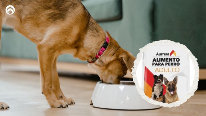 ¿Qué tan buenas son las croquetas para perro de la marca Aurrera? Esto dice Profeco