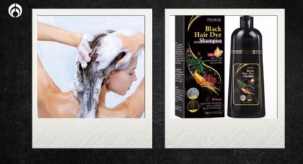 Black Hair Dye para las canas: ¿Realmente es bueno este famoso shampoo?