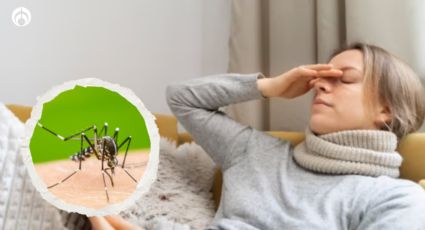 ¿Cómo saber si tengo dengue? Síntomas alarmantes a considerar