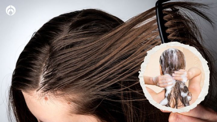 Los 5 mejores shampoos para cabello graso, según expertos