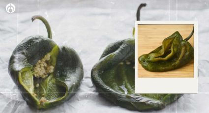 ¿Cómo quitar las venas y semillas a los chiles poblanos para rellenar?