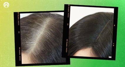 ¡No gastes en tintes! Cubre las canas con un shampoo casero a base de una poderosa planta