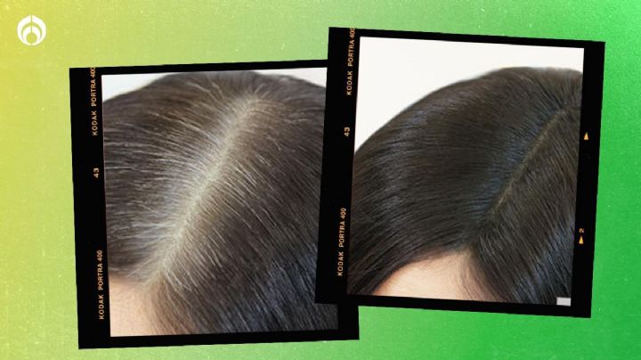 ¡No gastes en tintes! Cubre las canas con un shampoo casero a base de una poderosa planta