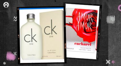 Los 5 perfumes para dama que puedes comprar en Walmart por menos de 700 pesitos