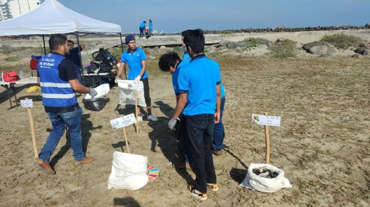 Ejemplo estudiantil: ONU otorga constancias a alumnos por limpiar playas en Boca del Río