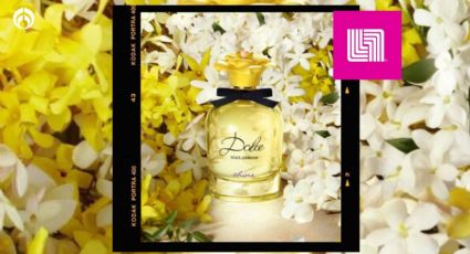 Liverpool deja a precio regalado el perfume más seductor de Dolce&Gabanna, ¡olerás todo el día!