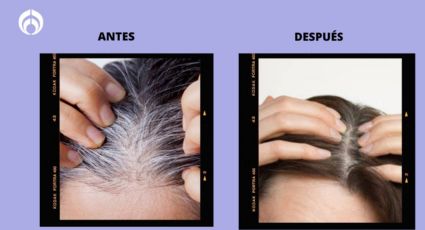 El tinte natural que cubrirá tus canas por completo y nutrirá tu cabello