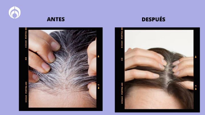 El tinte natural que cubrirá tus canas por completo y nutrirá tu cabello