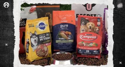 El costal barato de croquetas para perro Purina aprobado por Profeco